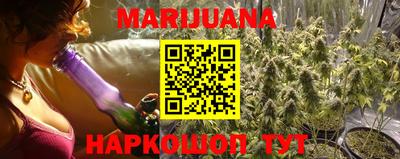 мдпв Славгород